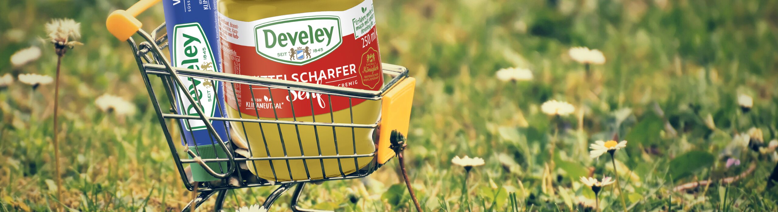 Develey Einkaufswagen mit Senf Tube und Senf Glas