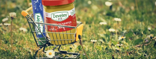 Develey Einkaufswagen mit Senf Tube und Senf Glas
