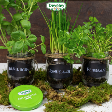 Upcycling Ideen mit Senfgläsern