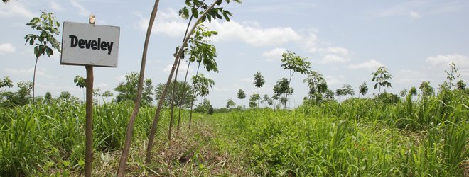 Develey Nachhaltigkeit mit plant for the planet