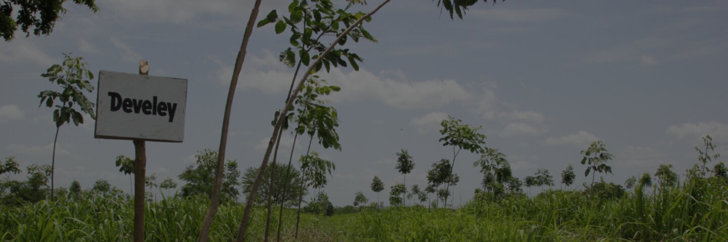 Develey ist die Nachhalitgkeit sehr wichtig, weshalb sie auch ein Teil von Plant for the planet sind