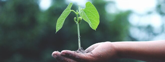 Develey sorgt sich um die Zukunft und engagiert sich deshalb für die Natur, Umwelt und Nachhaltigkeit